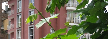 Hotel Los Acebos Cangas