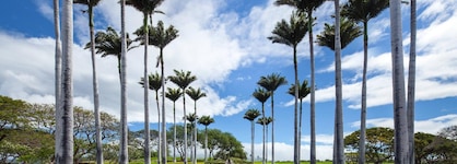 The Westin Hapuna Beach Resort