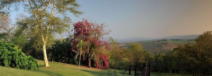 Hazyview Sun