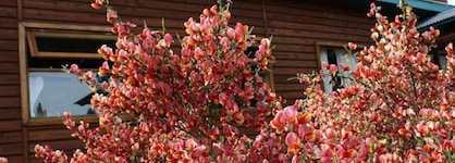 Hosteria Hainen