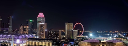 Wyndham Singapore Hotel