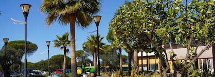 Nazaret De Moguer
