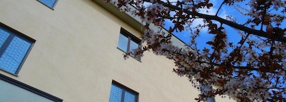 Hotel Majestic