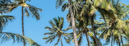 Serena Beach Resort & Spa