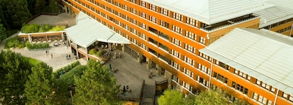 Disney Sequoia Lodge