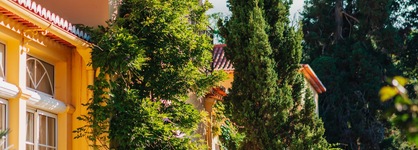 Casa Velha Do Palheiro