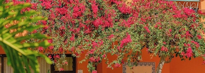 Quinta Splendida Wellness & Botanical Garden