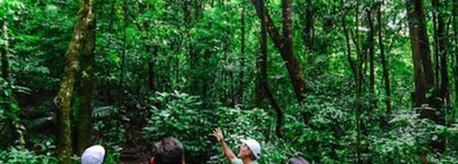 Cloud Forest Lodge