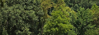 Crowne Plaza Resort Asheville, An Ihg Hotel