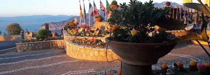 La Vue D'or