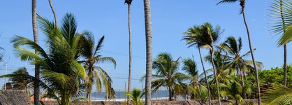 Blue Tree Premium São Luís