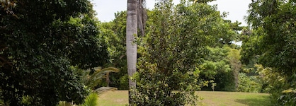 Frenchman's Cove Resort