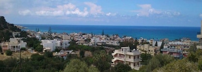 Sunny Hill Ex Mary Sofi