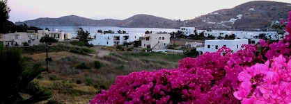 Olga's Pension