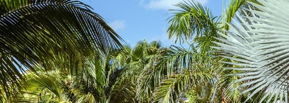 La Playa Orient Bay