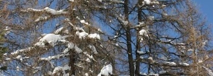 Madame Vacances Les Lodges Des Alpages