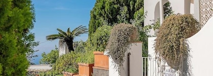 Hotel Senaria