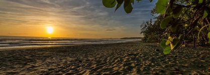 Cariblue Beach And Jungle Resort