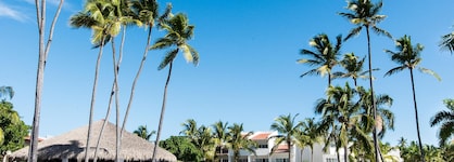 Occidental Punta Cana - All Inclusive