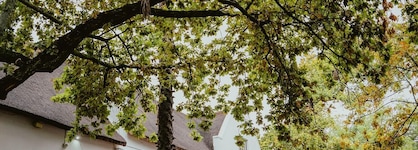 The Stellenbosch Hotel