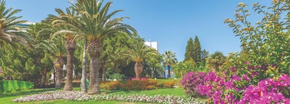 Sunrise Resort Hotel - All Inclusive
