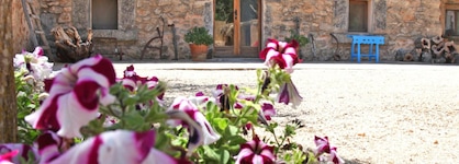 Finca Son Guardiola