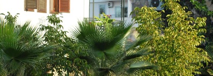 Belkon Hotel