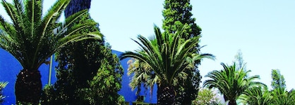 Caribbean World Monastir