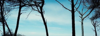 Vintage Hotel Tornese - Business & Events