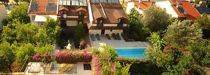 Villa Daffodil - Special Class