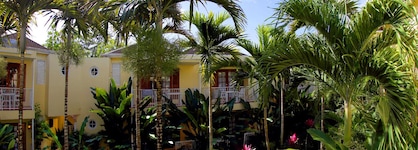 Negril Palms