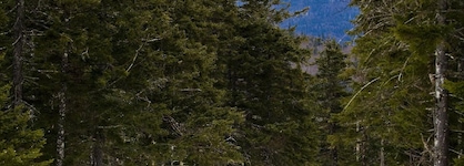 Omni Mount Washington Resort & Spa