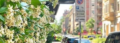 Hotel Bolzano