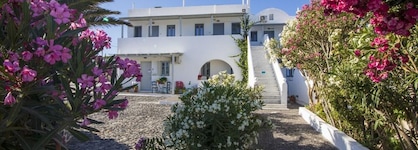 Thira's Dolphin