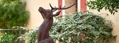 Best Western Saint Louis