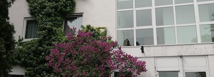 Arthotel Ambassador Wiesbaden