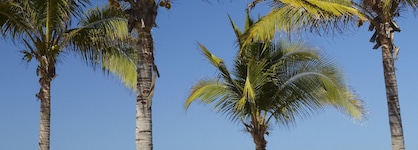 Four Seasons Resort Punta Mita