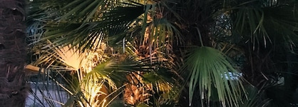 Hotel Deanna Golf