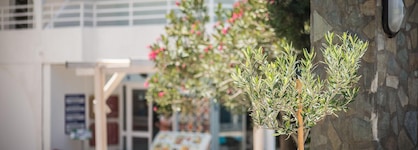 Anika Studios