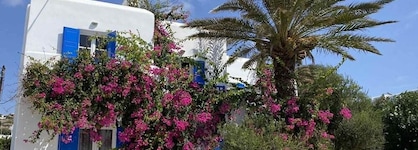 Anemos Studios & Apartments