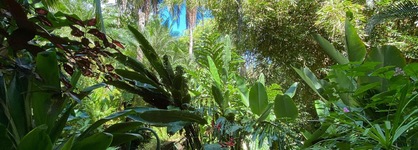 The Falls Resort At Manuel Antonio