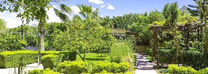 Telatiye Resort Hotel - All Inclusive