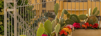Hotel Domomea