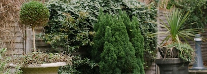 Nira Caledonia
