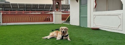Suryaa Villa - A City Centre Hotel
