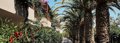 Stella Village Seaside Hotel - All Inclusive