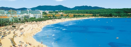 Allsun App.-Hotel Orient Beach