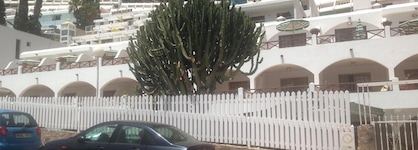 Eó Corona Cedral