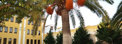 Hotel El Carmen