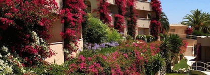 Vila Palmeira
